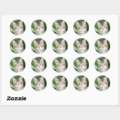 Schattig Tabby Kitten Ronde Sticker (Vel)