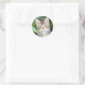 Schattig Tabby Kitten Ronde Sticker (Tas)