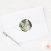Schattig Tabby Kitten Ronde Sticker (Envelop)