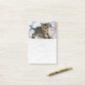 Schattig tabby poesje dat verrast kijkt post-it® notes (Op bureau)