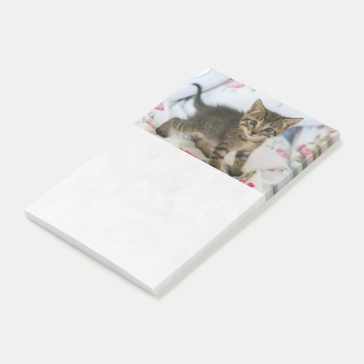 Schattig tabby poesje dat verrast kijkt post-it® notes (Schuin)
