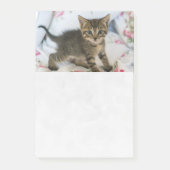 Schattig tabby poesje dat verrast kijkt post-it® notes (Voorkant)