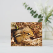 Schattig Teeny Baby Chipmunk Briefkaart (Staand voorkant)