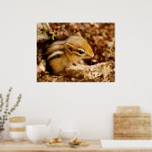 Schattig Teeny Baby Chipmunk Poster (Keuken)