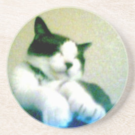 schattig teruggegooid kat zandsteen onderzetter