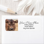 Schattig terugzendadres bruin calf etiket (Insitu)