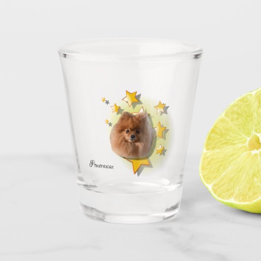 Schattig Tiny Red Pommeren is een ster Shot Glas (Voorkant)