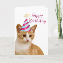 Schattig van je huisdierkat Verjaardagsgroet