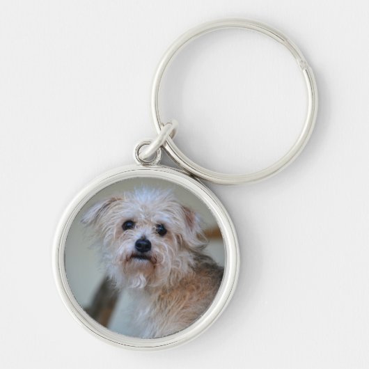 Schattig verdrietig ogen scruffy puppy sleutelhanger (Voorkant)