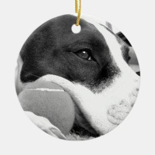 schattig verdrietig uitziende pitbull hond zwart w keramisch ornament