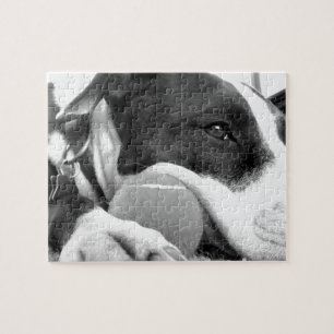 schattig verdrietig uitziende pitbull hond zwart w legpuzzel