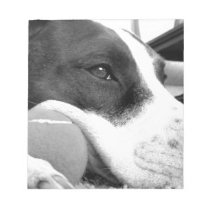 schattig verdrietig uitziende pitbull hond zwart w notitieblok