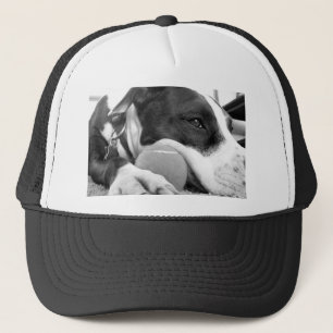 schattig verdrietig uitziende pitbull hond zwart w trucker pet