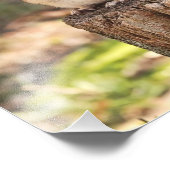 Schattig vet en fluffy Chipmunk Foto Afdruk (Hoek)