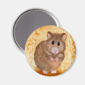 Schattig vet hamster magneet (Voorkant / Achterkant)