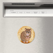 Schattig vet hamster magneet (Insitu (Vaatwasser))