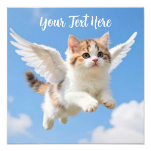 Schattig Vliegend Kittenspookje Calico Tabby Blauw Foto Afdruk