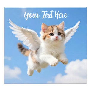 Schattig Vliegend Kittenspookje Calico Tabby Blauw Foto Afdruk