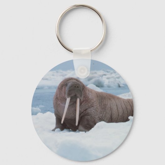 Schattig Walrus Sleutelhanger (Voorkant)