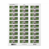 Schattig Weimaraner Etiket (Full Sheet)