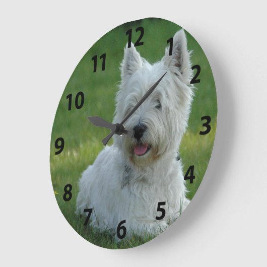 Schattig West Highland Terrier Grote Klok (Hoek)