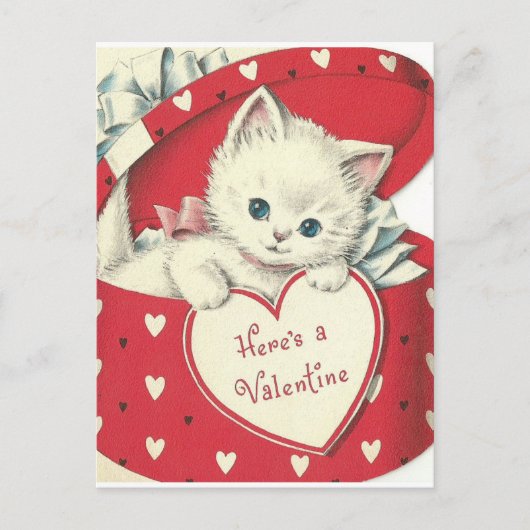 Schattig White Kitten  Valentijn Briefkaart (Voorkant)