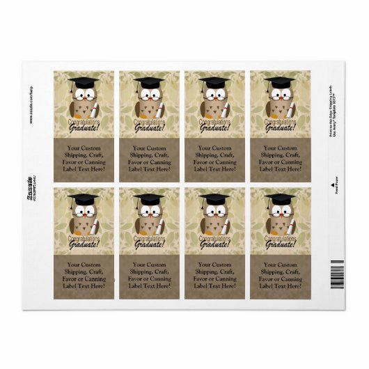 Schattig Wijze Uil Afstuderen Etiket (Full Sheet)