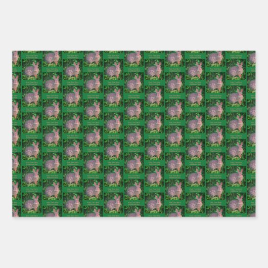 Schattig wild konijn dier gepersonaliseerd inpakpapier vel (Voorkant 2)