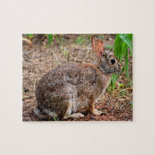 Schattig wild konijn legpuzzel