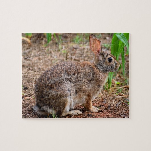 Schattig wild konijn legpuzzel (Horizontaal)