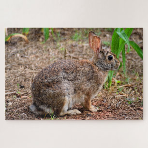 Schattig wild konijn legpuzzel