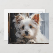 Schattig wit hondenportret briefkaart (Voorkant / Achterkant)