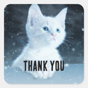 Schattig wit kitten met  blauwe ogen Dank u Vierkante Sticker