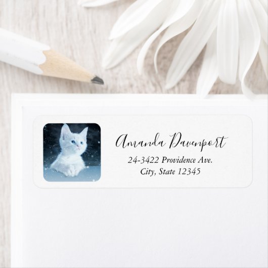 Schattig wit kitten met  blauwe ogen etiket (Insitu)