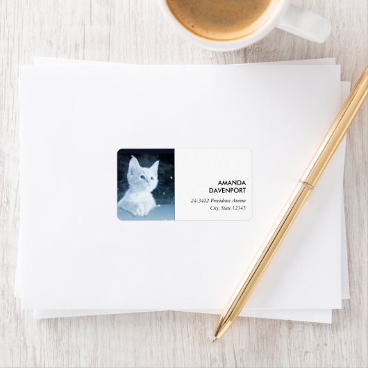 Schattig wit kitten met  blauwe ogen etiket (Insitu)