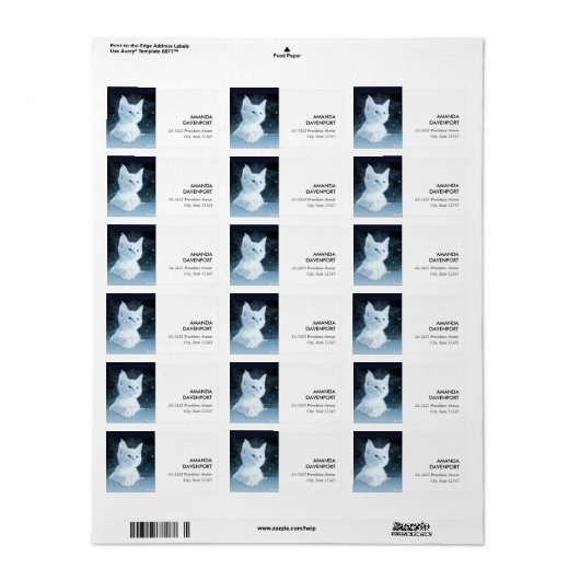 Schattig wit kitten met  blauwe ogen etiket (Full Sheet)