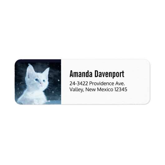 Schattig wit kitten met  blauwe ogen etiket (Voorkant)