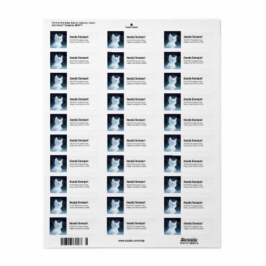 Schattig wit kitten met  blauwe ogen etiket (Full Sheet)