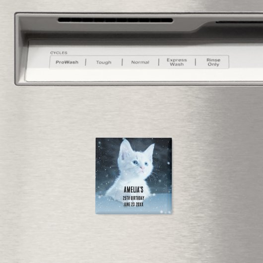 Schattig wit kitten met blauwe ogen magneet (Insitu (Vaatwasser))