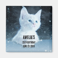 Schattig wit kitten met blauwe ogen