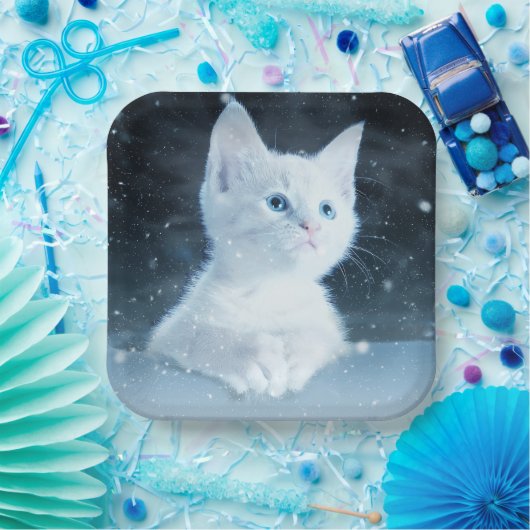 Schattig wit kitten met  blauwe ogen papieren bordje (Feest)