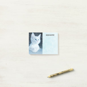 Schattig wit kitten met  blauwe ogen post-it® notes