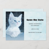 Schattig wit kitten met  blauwe ogen save the date (Voorkant / Achterkant)