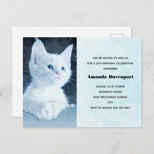 Schattig wit kitten met blauwe ogen Verjaardag uit Briefkaart (Voorkant / Achterkant)