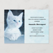 Schattig wit kitten met blauwe ogen Verjaardag uit Briefkaart (Voorkant)
