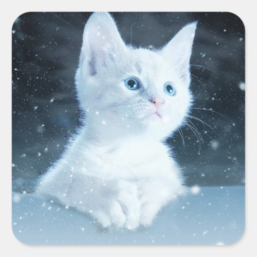 Schattig wit kitten met  blauwe ogen vierkante sticker (Voorkant)