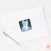 Schattig wit kitten met  blauwe ogen vierkante sticker (Envelop)