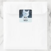 Schattig wit kitten met  Blue Eyes Verjaardag Vierkante Sticker (Tas)