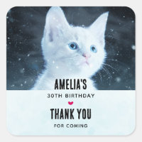 Schattig wit kitten met Blue Eyes Verjaardag