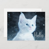 Schattig wit kitten met  Hallo blauw Eyes Briefkaart (Voorkant / Achterkant)